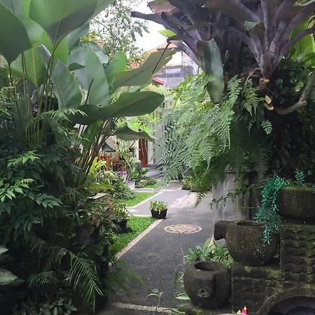 Blima Bali Appartement Ubud Buitenkant foto
